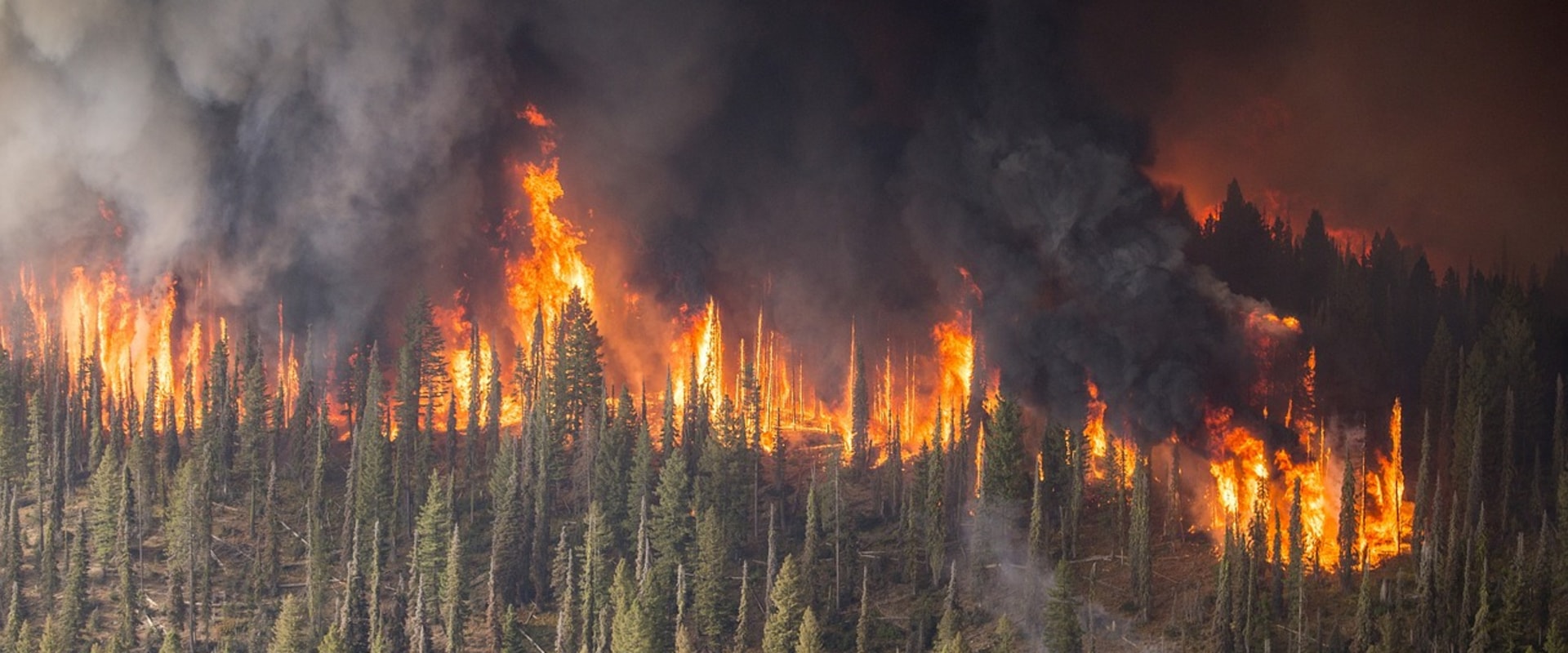 How to Keep Outside Wildfire Smoke Out of Your House by Eliminating Duct Leaks and Sealing Air Gaps?